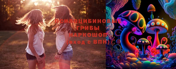 ГАЛЛЮЦИНОГЕННЫЕ ГРИБЫ Богородск