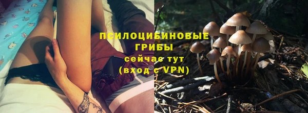 ГАЛЛЮЦИНОГЕННЫЕ ГРИБЫ Богородск